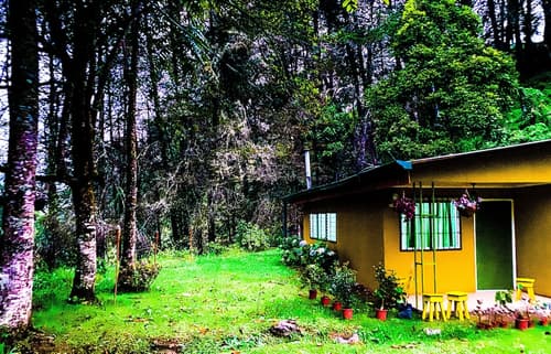 River Nest Lodge Costa Rica, Exterior