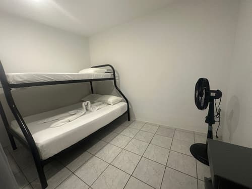 Wide Mouth Frog, Room