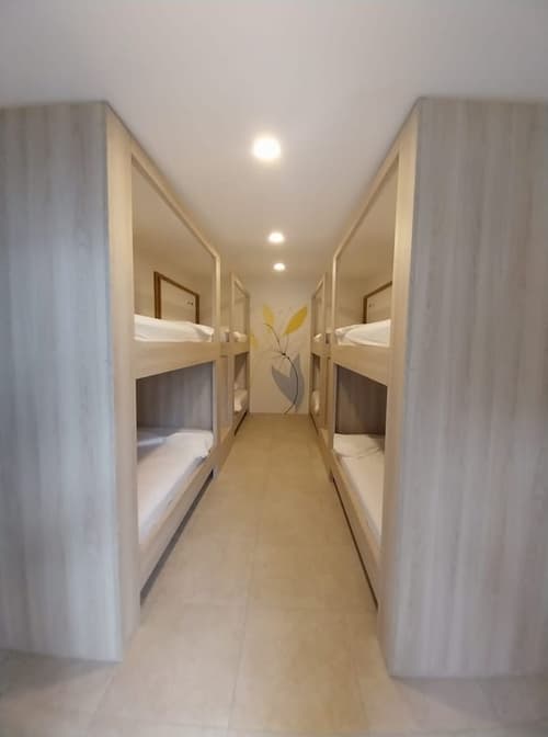 Wide Mouth Frog, Room