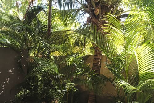 Makena Hotel, Living area