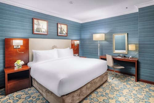 Millennium Al Aqeeq Hotel, Primary image