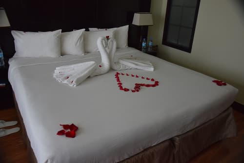 Mount Meru Hotel, Room