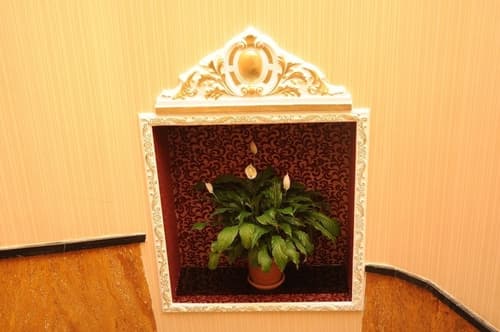 Alfa Hotel, Reception