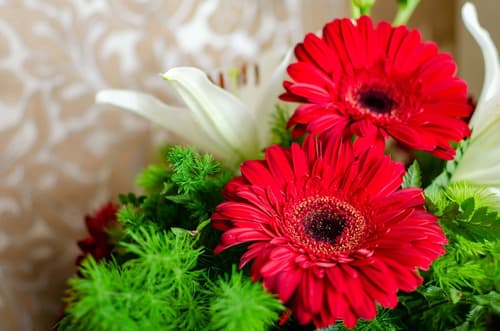 Hotel LX Rossio, Room