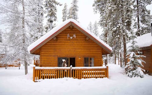 Baker Creek By Basecamp, Primary image