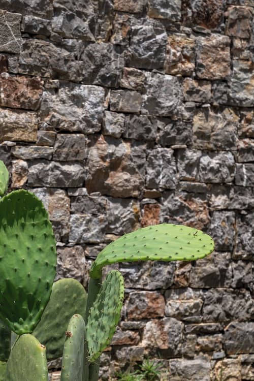 PHEIA, Vriniotis Resorts, Garden