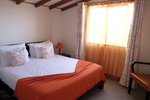 Pico Dreams - Sportfish, Room