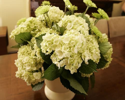 The Morgan State House, Interior entrance