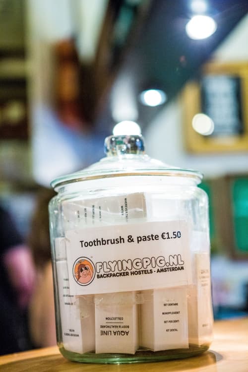 The Flying Pig Downtown Youth Hostel, Reception