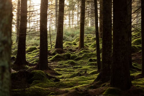 AC Hotel by Marriott Inverness, Hiking