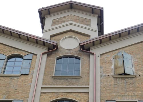 Piumaviola, Primary image