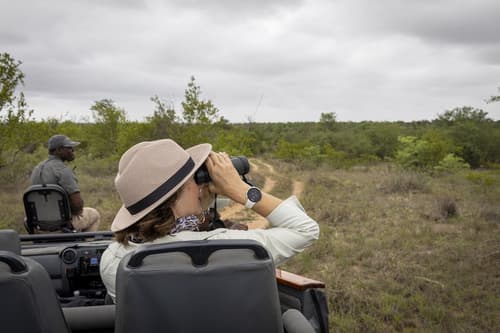 Simbavati Waterside, Game drive