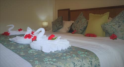 Mountain View Hotel, Room