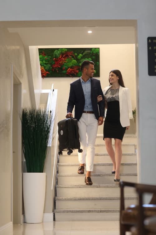 Botanica Art, Reception