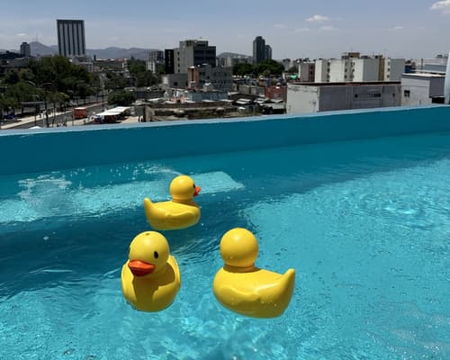 Mala Vecindad Centro Historico, Rooftop pool