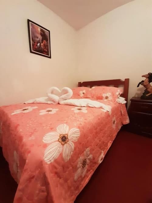 Maypa Lima Airport, Primary image