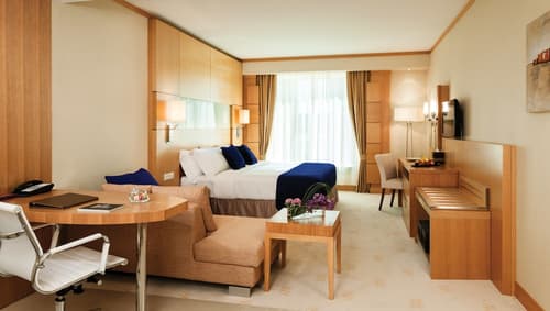 Carlton Downtown, Room