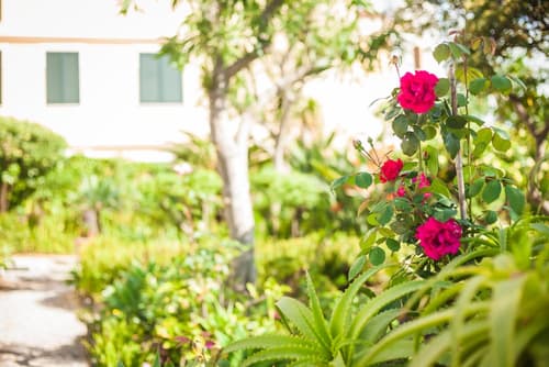 Villa Panoramica, Property amenity