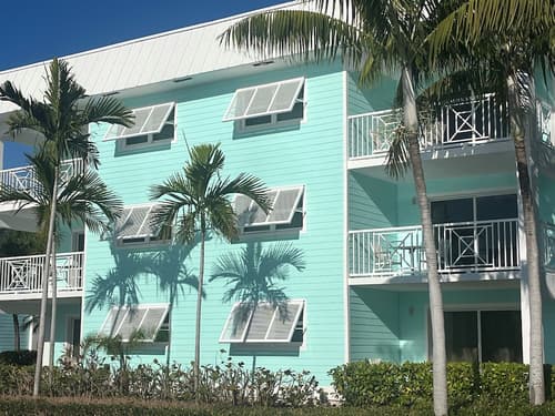 Dolphin Cove - Adults Only, Primary image