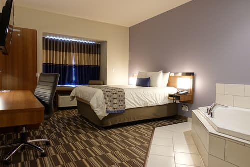 Microtel Inn & Suites by Wyndham Sault Ste. Marie, Room