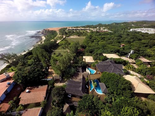 Sombra e Agua Fresca Floresta, Primary image