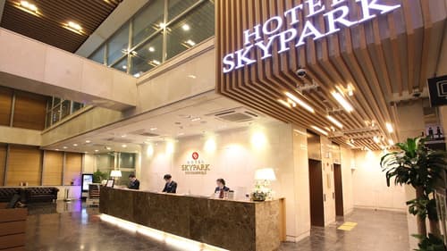 Hotel Skypark Dongdaemun 1, Reception