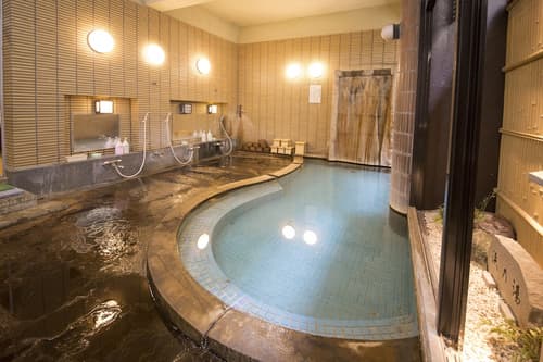 Nogamihonkan Ryokan, Hot springs