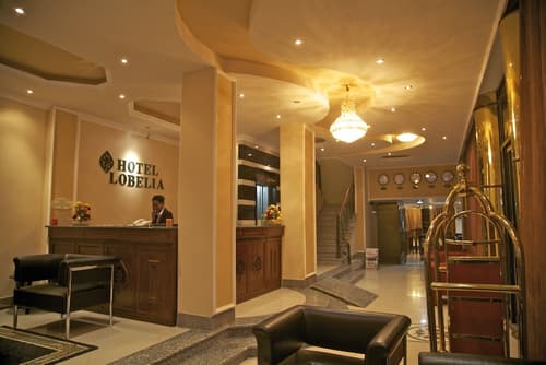 Hotel Lobelia, Lobby