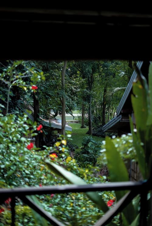 My Dream Boutique Resort, Room