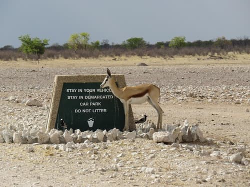 Etosha Safari Camp, Beach