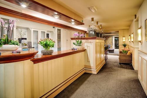 Owl Hotel, Reception