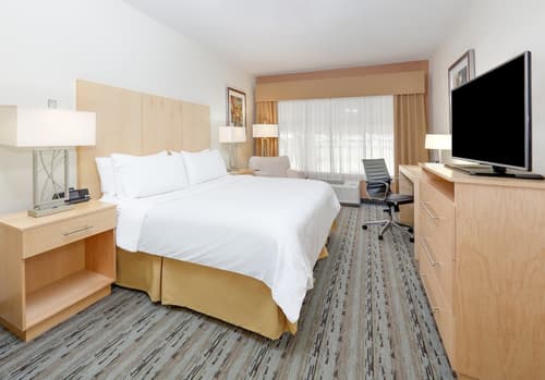 Holiday Inn Express & Suites San Antonio - Brooks City Base by IHG, Room