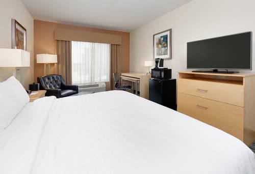 Holiday Inn Express & Suites San Antonio - Brooks City Base by IHG, Room