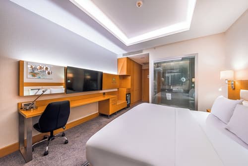 Holiday Inn Ankara - Cukurambar by IHG, Room