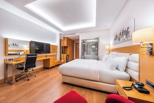 Holiday Inn Ankara - Cukurambar by IHG, Room