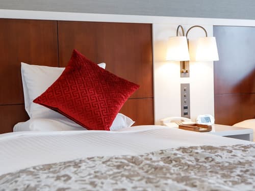 Hotel MyStays Maihama, Room