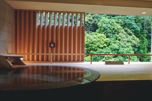 Hakone Pax Yoshino, Hot springs