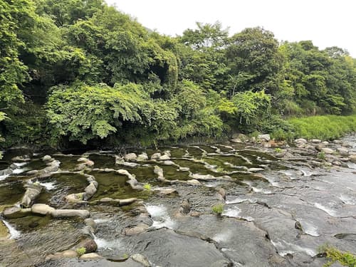 Hakone Pax Yoshino, View from property