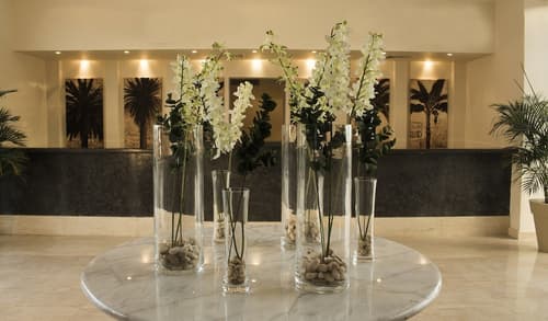 JAZ Neo Naama Bay, Reception