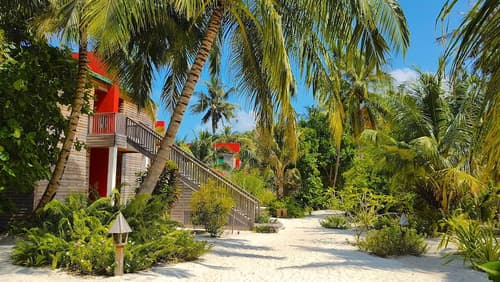 The Barefoot Eco Hotel, Room