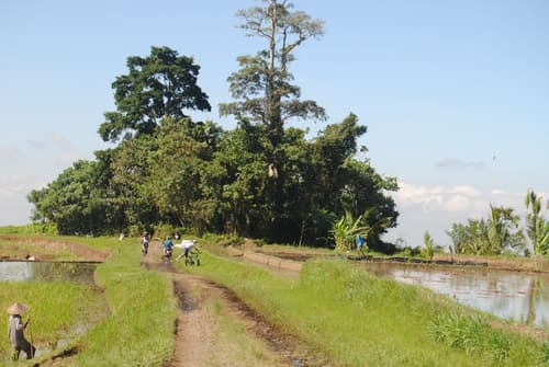 The Bali Bill Villa, Archery