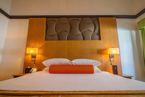 Sago Palm Hotel, Room