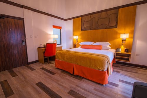 Sago Palm Hotel, Room