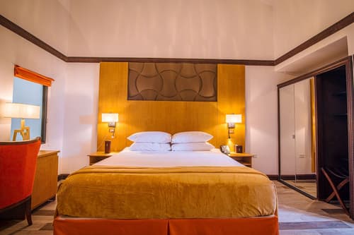 Sago Palm Hotel, Room