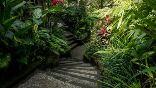 Sakti Garden Resort & Spa, Exterior