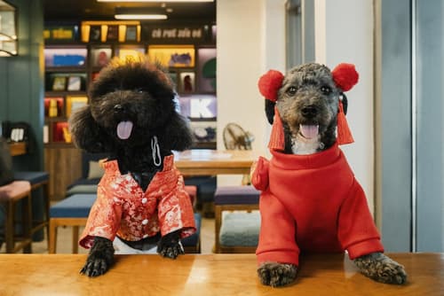 WINK HOTEL DANANG RIVERSIDE, Unscripted by Hyatt, Lobby