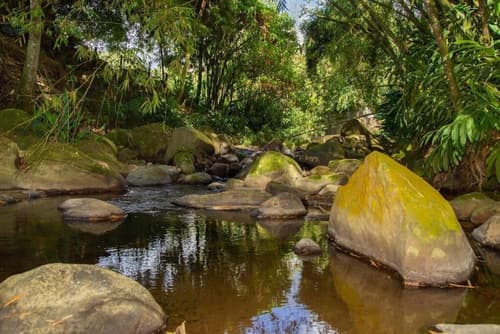 Hotel Hacienda Santa Clara, Garden
