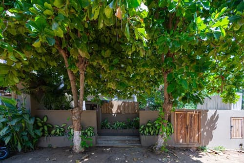 Raíz Hotel Boutique, Room