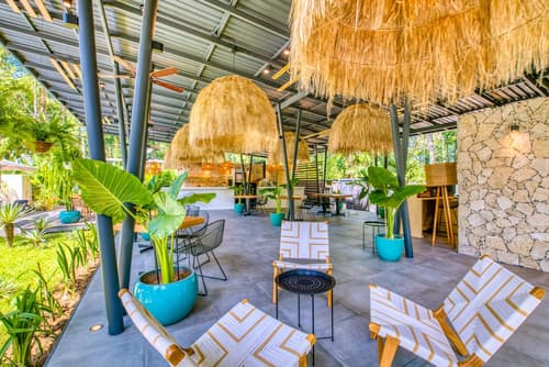 Exôtico Beach Hotel, Reception