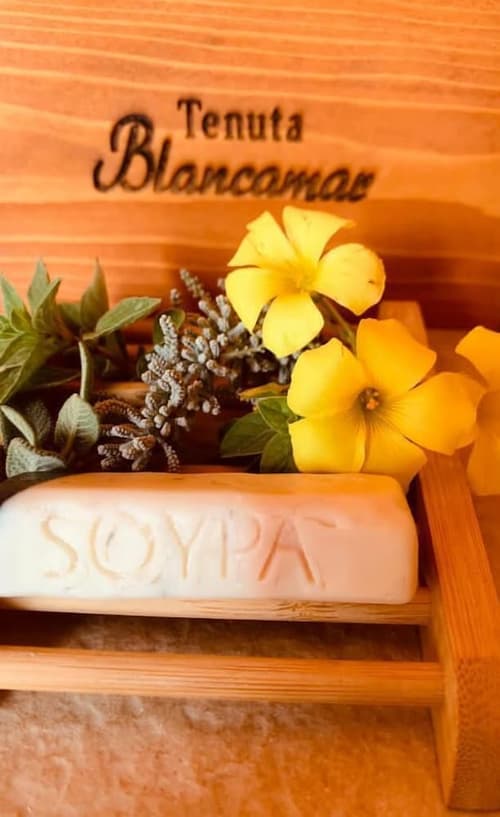 Tenuta Blancamar, Room